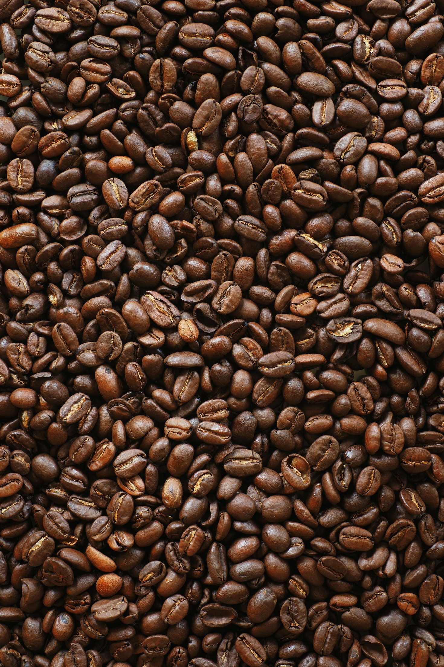 De Geschiedenis Van Koffie: Van Plant Tot Kop